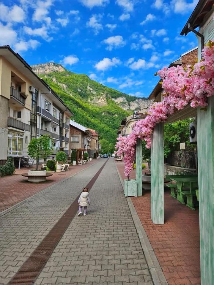 Luxury Apartment Teteven Kültér fotó